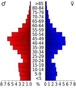 Bevolkingspiramide Clear Creek County