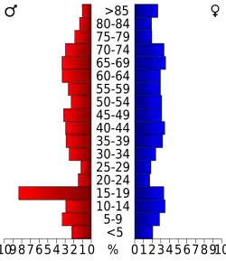 Bevolkingspiramide Coke County