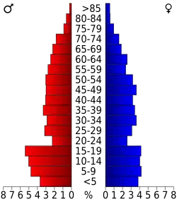 Bevolkingspiramide Culberson County