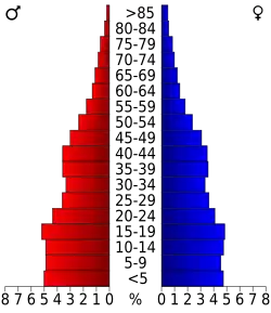 Bevolkingspiramide Davis County