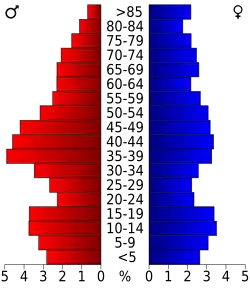 Bevolkingspiramide DeWitt County