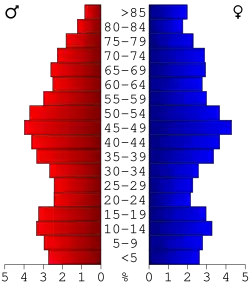 Bevolkingspiramide Dickinson County