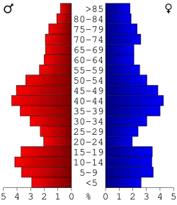 Bevolkingspiramide Dickinson County