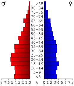 Bevolkingspiramide Echols County