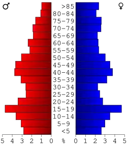Bevolkingspiramide Emmet County
