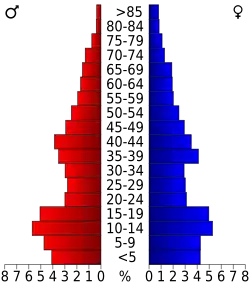 Bevolkingspiramide Gaines County
