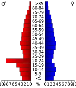 Bevolkingspiramide Gilchrist County