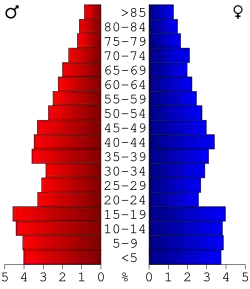 Bevolkingspiramide Gooding County