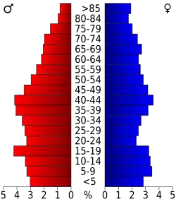 Bevolkingspiramide Gray County