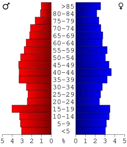 Bevolkingspiramide Grundy County
