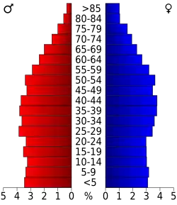 Bevolkingspiramide Hamblen County
