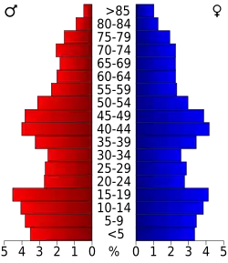 Bevolkingspiramide Hutchinson County