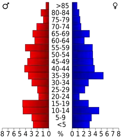 Bevolkingspiramide Irion County