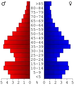 Bevolkingspiramide Isanti County