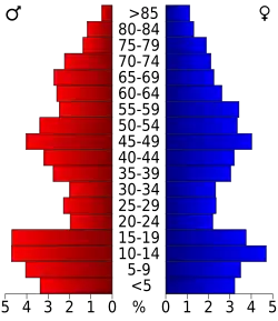 Bevolkingspiramide Kane County