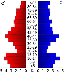 Bevolkingspiramide Kingman County