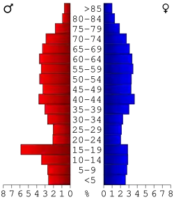 Bevolkingspiramide Lake County