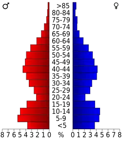 Bevolkingspiramide Lander County