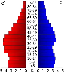 Bevolkingspiramide Lauderdale County