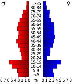 Bevolkingspiramide Lincoln County