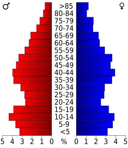 Bevolkingspiramide Madison County