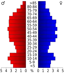 Bevolkingspiramide Marion County