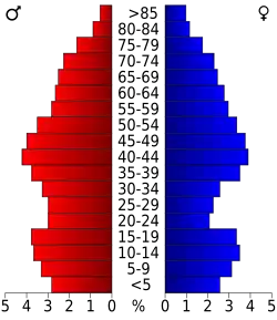 Bevolkingspiramide Mason County
