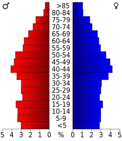 Bevolkingspiramide Mason County