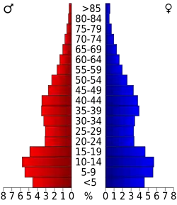 Bevolkingspiramide McKinley County