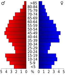 Bevolkingspiramide Mineral County