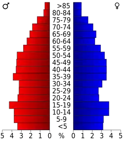Bevolkingspiramide Newton County