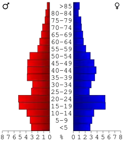 Bevolkingspiramide Nicollet County