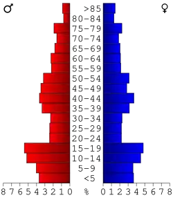 Bevolkingspiramide Oneida County