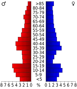 Bevolkingspiramide Pierce County
