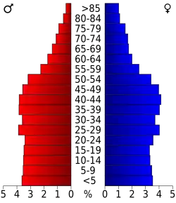 Bevolkingspiramide Pulaski County