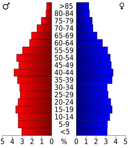 Bevolkingspiramide Rhea County