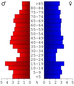 Bevolkingspiramide Ringgold County