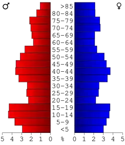 Bevolkingspiramide Rock County