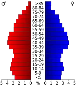 Bevolkingspiramide Rockbridge County