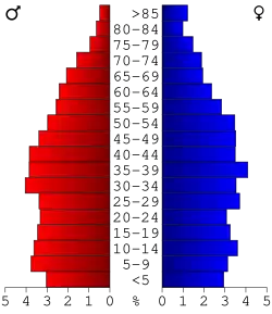 Bevolkingspiramide Rockcastle County