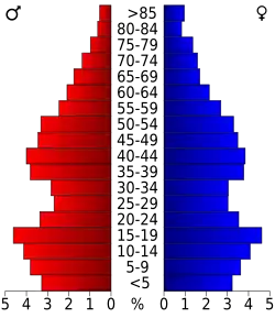 Bevolkingspiramide San Miguel County