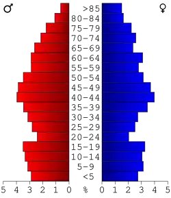 Bevolkingspiramide Schoolcraft County