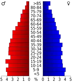 Bevolkingspiramide Sevier County