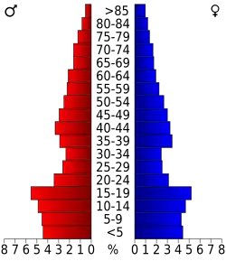 Bevolkingspiramide Sevier County