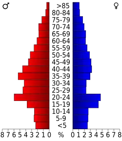 Bevolkingspiramide Somerset County