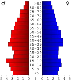 Bevolkingspiramide Stoddard County