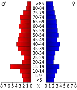 Bevolkingspiramide Sullivan County