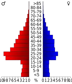 Bevolkingspiramide Summit County