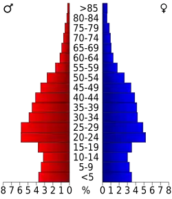 Bevolkingspiramide Travis County