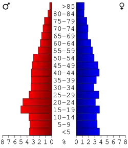 Bevolkingspiramide Treutlen County